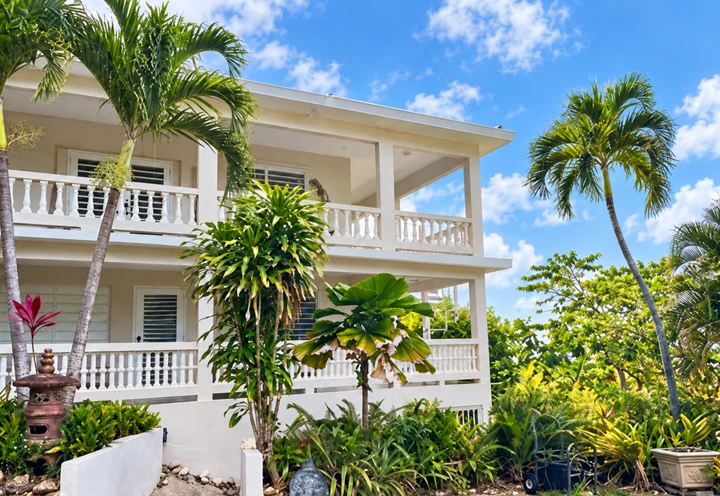 House and tropical garden